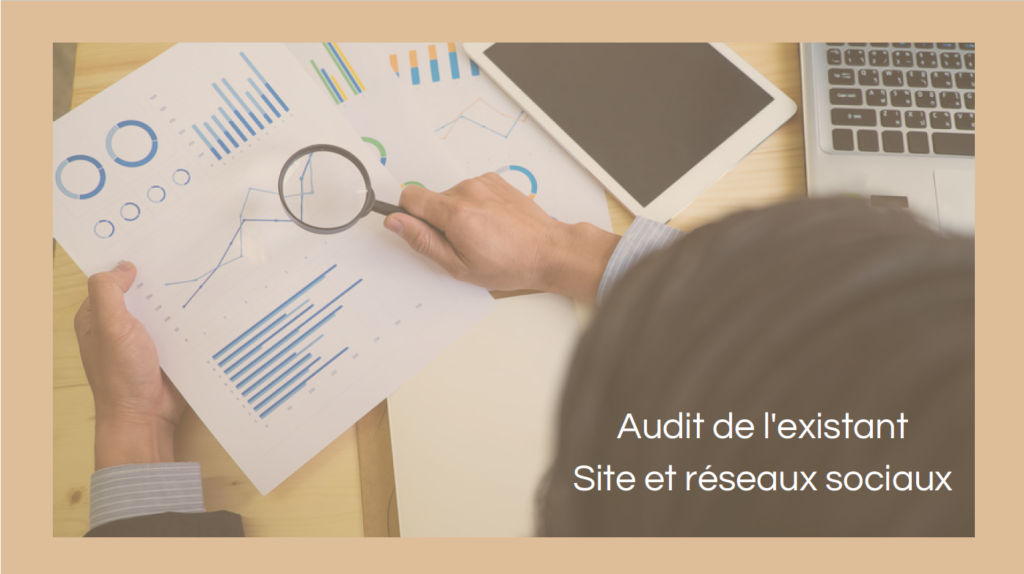 Audit webmarketing analyse de l'existant